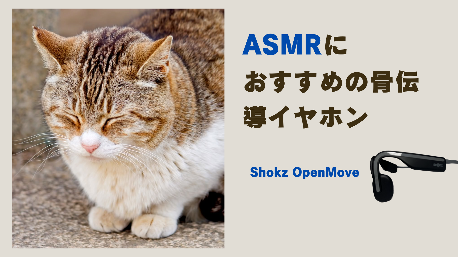 骨 伝導 イヤホン asmr